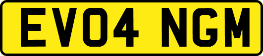 EV04NGM