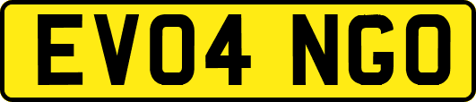 EV04NGO