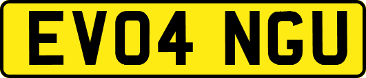 EV04NGU