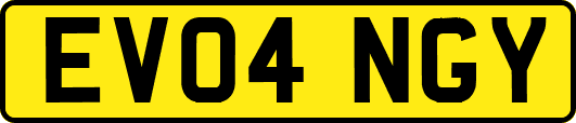 EV04NGY