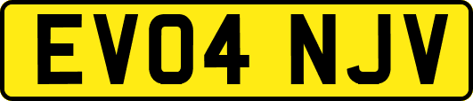 EV04NJV
