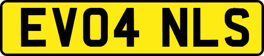 EV04NLS