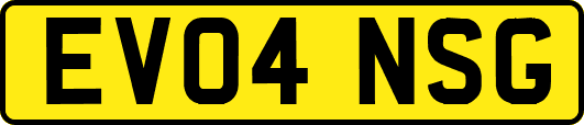 EV04NSG