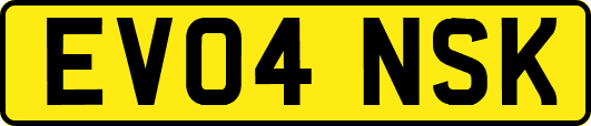 EV04NSK