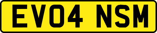 EV04NSM