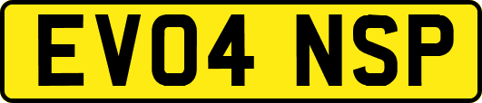 EV04NSP