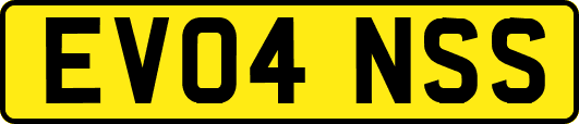 EV04NSS