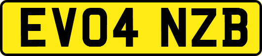 EV04NZB