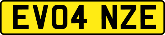 EV04NZE