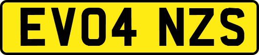 EV04NZS