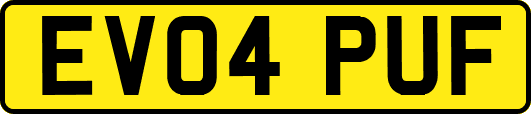EV04PUF