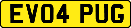 EV04PUG