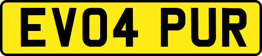 EV04PUR