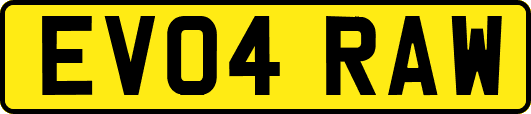 EV04RAW