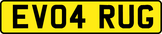 EV04RUG
