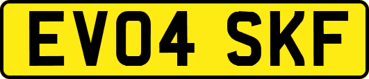 EV04SKF