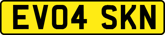 EV04SKN