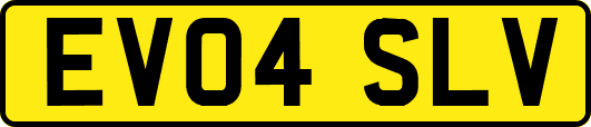 EV04SLV