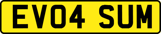 EV04SUM