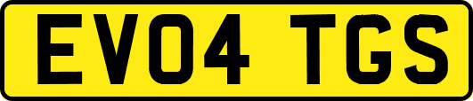 EV04TGS