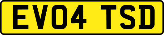 EV04TSD