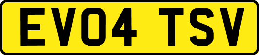 EV04TSV