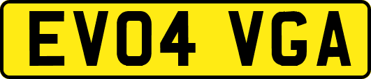 EV04VGA
