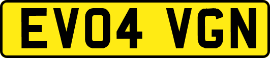 EV04VGN