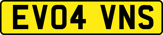 EV04VNS