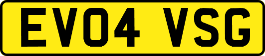 EV04VSG