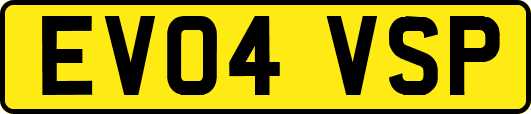 EV04VSP