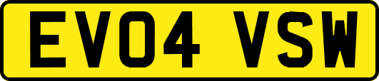 EV04VSW