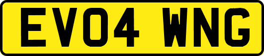 EV04WNG