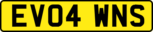 EV04WNS