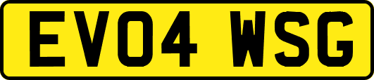 EV04WSG