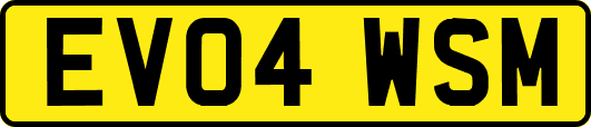 EV04WSM