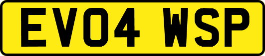 EV04WSP