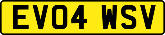 EV04WSV