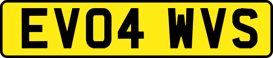 EV04WVS