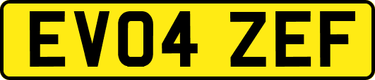 EV04ZEF