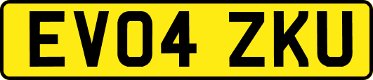 EV04ZKU