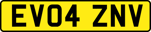 EV04ZNV