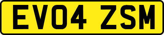 EV04ZSM