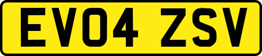 EV04ZSV