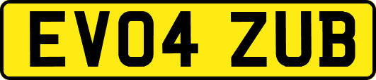 EV04ZUB