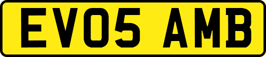 EV05AMB