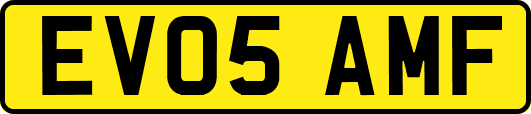 EV05AMF