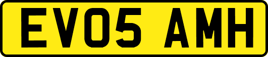 EV05AMH