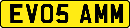 EV05AMM