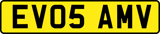 EV05AMV